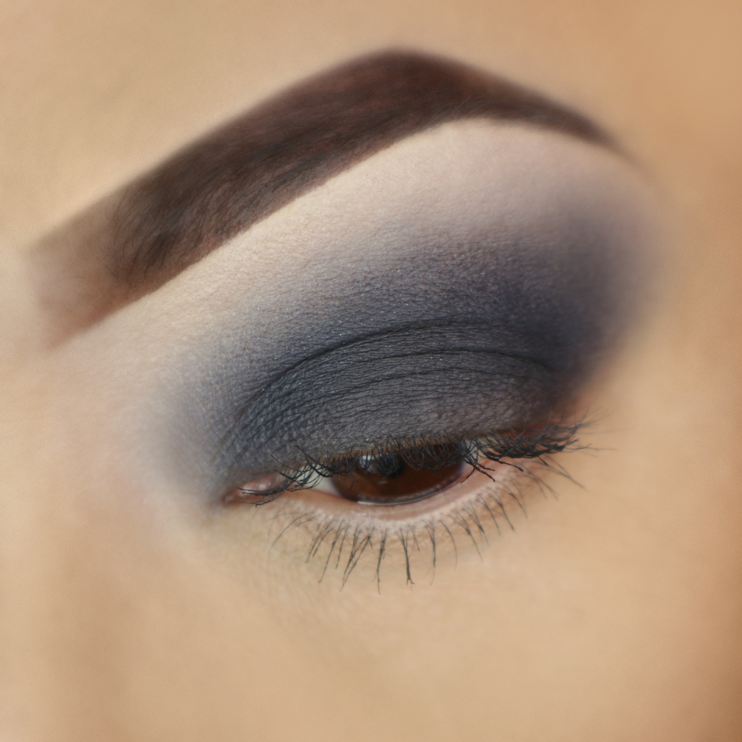 Wet Dry Eyeshadow