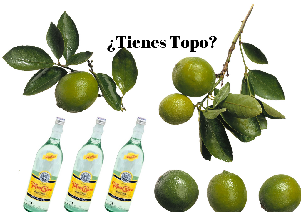 ¿Tienes Topo?