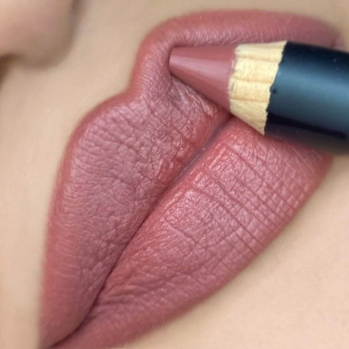 Viva La Holiday Bundle